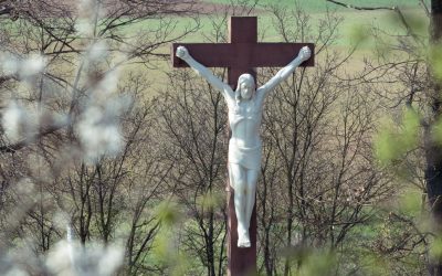 70 Jahre Heidelberger Friedenskreuz – Samstag, 20. Mai 2023 16-20 Uhr