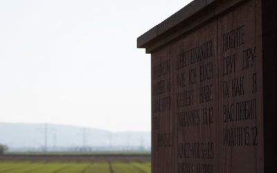 Stiftung Heidelberger Friedenskreuz wird 2025 keinen Friedenspreis verleihen
